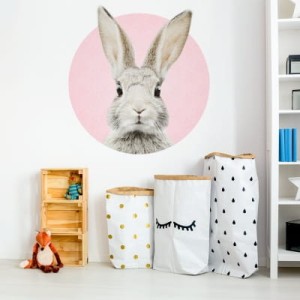 NAKLEJKA NA ŚCIANĘ KRÓLIK STEFAN NA KOLOROWYM TLE - YOKO DESIGN