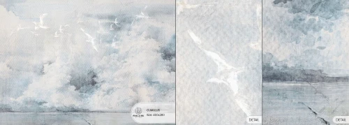 217.webp