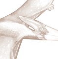 tapeta-dla-dzieci-dinozaury-sepia-09.jpg