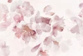 ROSE.jpg