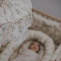 https://tuliroom.live/upload/malomi-abazur-blooming.mp4