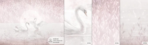 AMORE MIO NIGHT DESERT ROSE.jpg