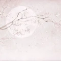 tapeta dla dziewczynki magnolia malumi