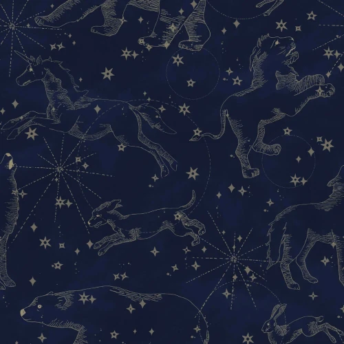 Tapeta z gwiazdozbiorami i zwierzętami Constellations dark - Dekornik