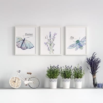 mucha-lawenda-motyl.jpg
