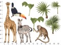 safari-zwierzeta-2-05.jpg