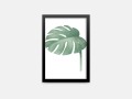 plakat-monstera-01.jpg
