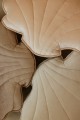 cream-pearlshell_pillows-beige-cosmic-pearl (13).jpg