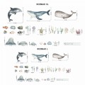 wieloryby-naklejki-na-sciane-do-pokoju-dziecka-yokodesign (1).jpg