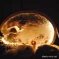 night lamp moon