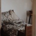 bamboo-bedding-with-filling