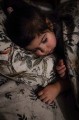 baby-bedding-onithology