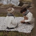 picnic blanket for family