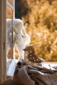 bird-lamp-little-lights