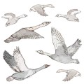 wall stickers geese