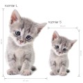 wall sticker kitten