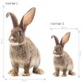 wall sticker rabbit