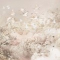 tapeta chmury ptaki dream evening NEUTRAL