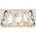 ducks wall stuckers
