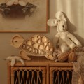 turtle night lamp