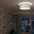 plafond for kids room sage