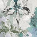 wallpaper iris