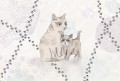 CATS WALLPAPER FOR GIRLS ROOM