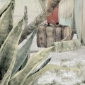 wallpaper surf camp mint