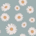 tapeta stokrotki blue