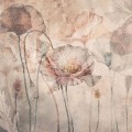 wallpaper poppy coral
