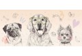 wallpaper doggies rainbow
