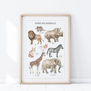 PLAKAT ZWIERZĘTA AMERYKA POŁUDNIOWA P479 - YOKO DESIGN
