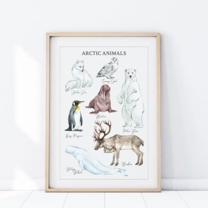 PLAKAT ZWIERZĘTA ARTKTYKA P484 - YOKO DESIGN
