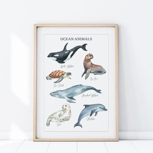 plakat zwierzęta ocean