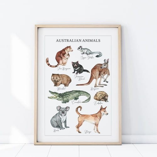 Plakat zwierzeta australia