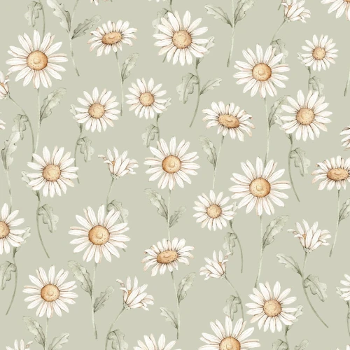 tapeta-sunny-daisy-zielona-dekorillo.jpg