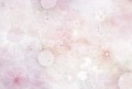 tapeta dmuchawce rose